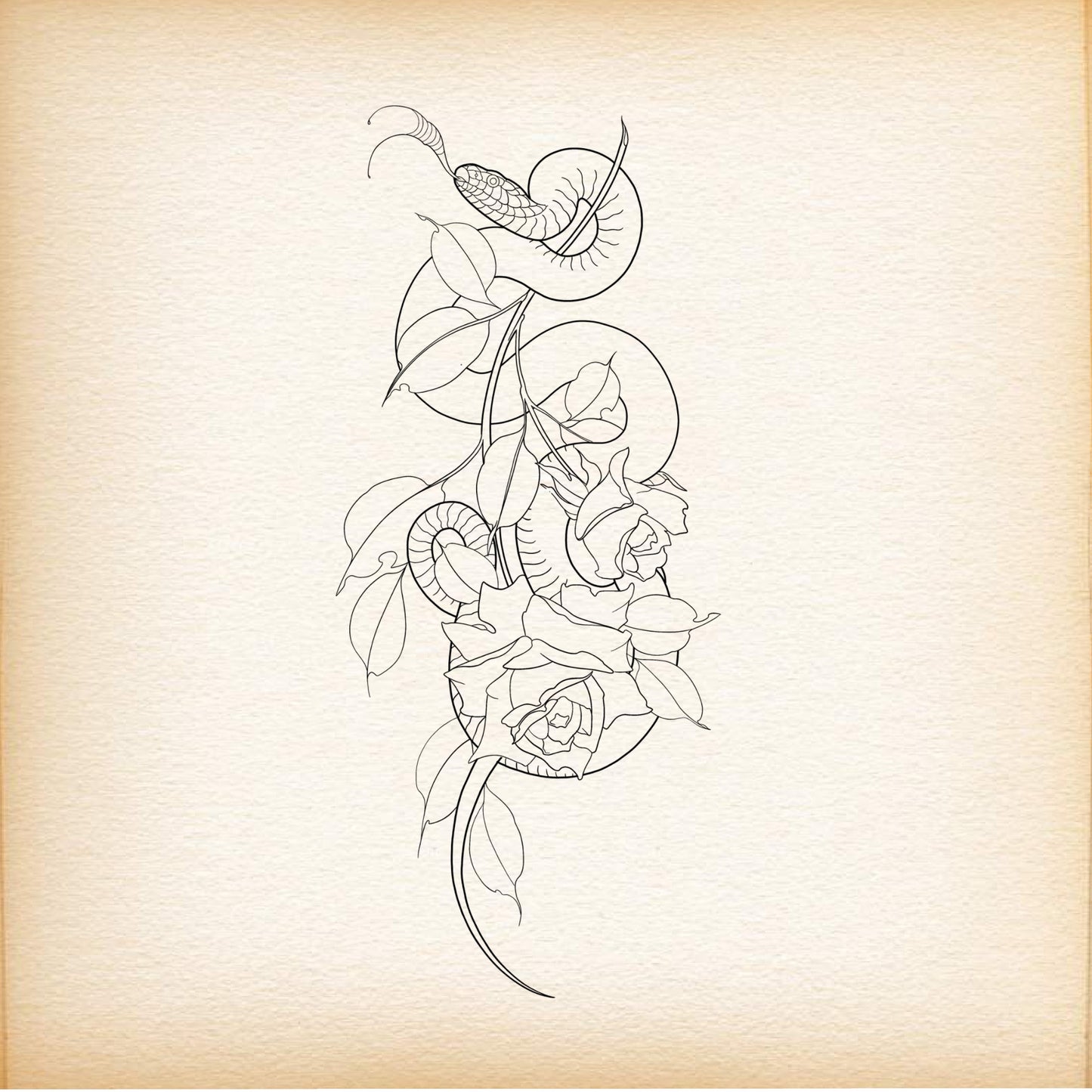 Fine Line Tattoo   Snake & Flower